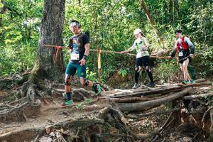 BIB: 
                            <button type="button" onclick="openModal(27558444)" class="btn btn-primary btn-sm float-right btn-popup" data-toggle="modal" data-target=".modal-high-quality">
                        <i class="fas fa-shopping-cart"></i> Add to Cart
                    </button>
                                            <button type="button" onclick="isThisMe(27558444, true)" class="btn btn-success btn-sm float-right btn-popup btn-isme hidden" data-toggle="tooltip" data-placement="bottom" title="นี่คือรูปของคุณใช่ไหม คลิกที่นี่เพื่อเอาเข้าอัลบั้ม">
                        <i class="fas fa-plus"></i> Add to album
                    </button>
                    <button type="button" onclick="isThisMe(27558444, false)" class="btn btn-warning btn-sm float-right btn-popup btn-isnotme hidden">
                        <i class="fas fa-ban"></i> Remove from album
                    </button>